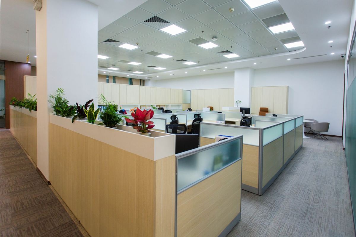 Bright open office with workstations and plants